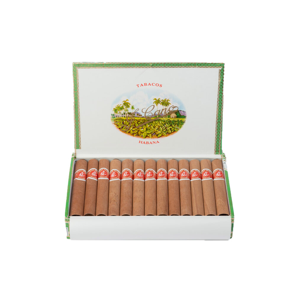 La Flor de Cano بيتي كورونا (25)