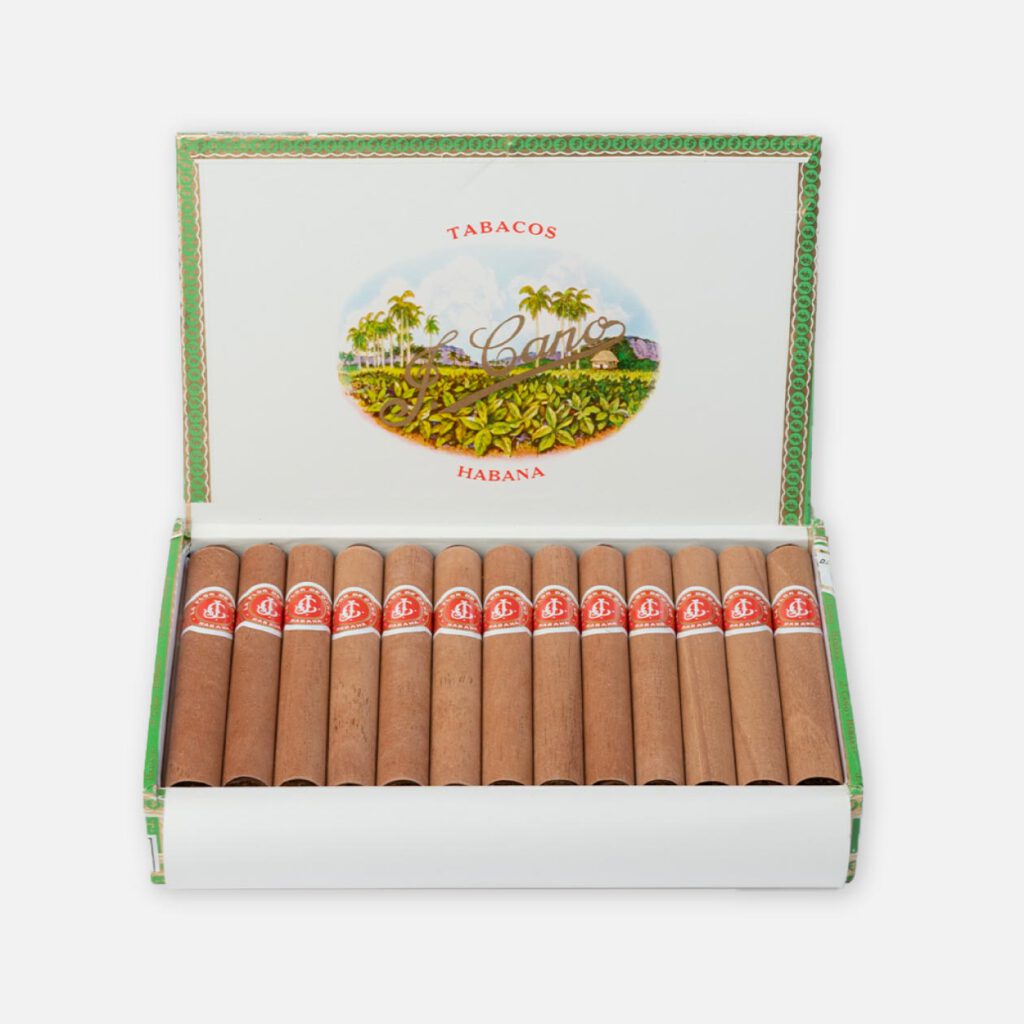 La Flor de Cano بيتي كورونا (25)